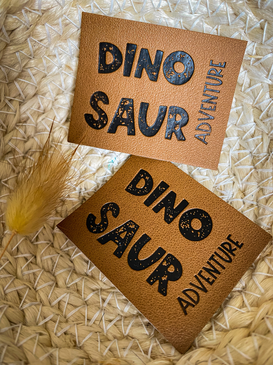 Dino Saur Adventure Label