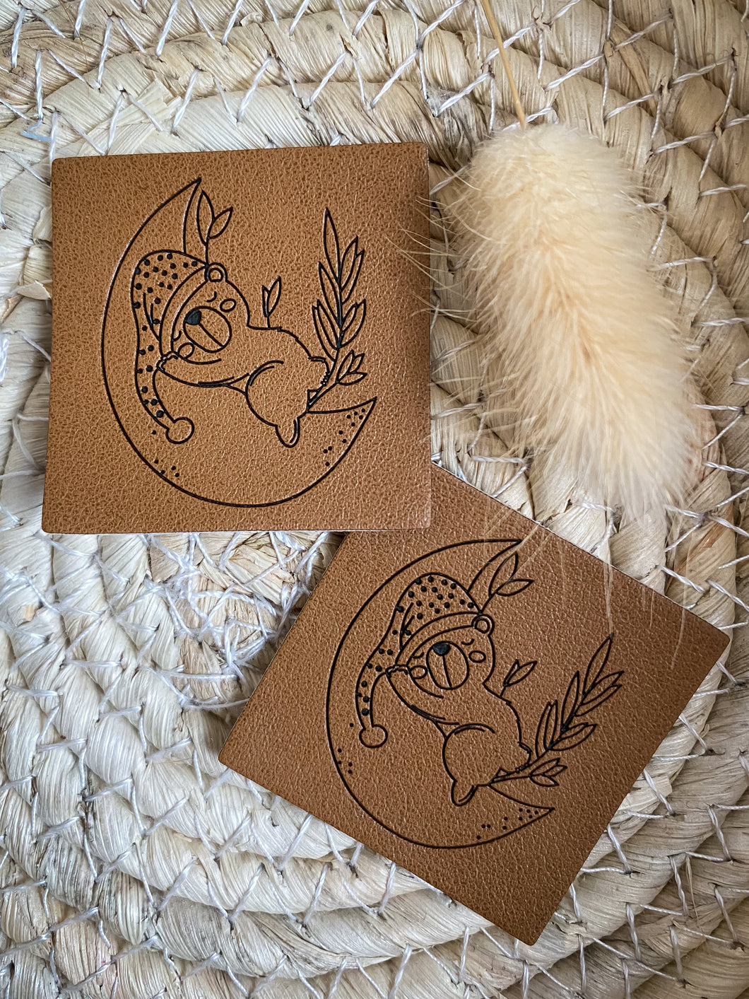 Moon Bear Label