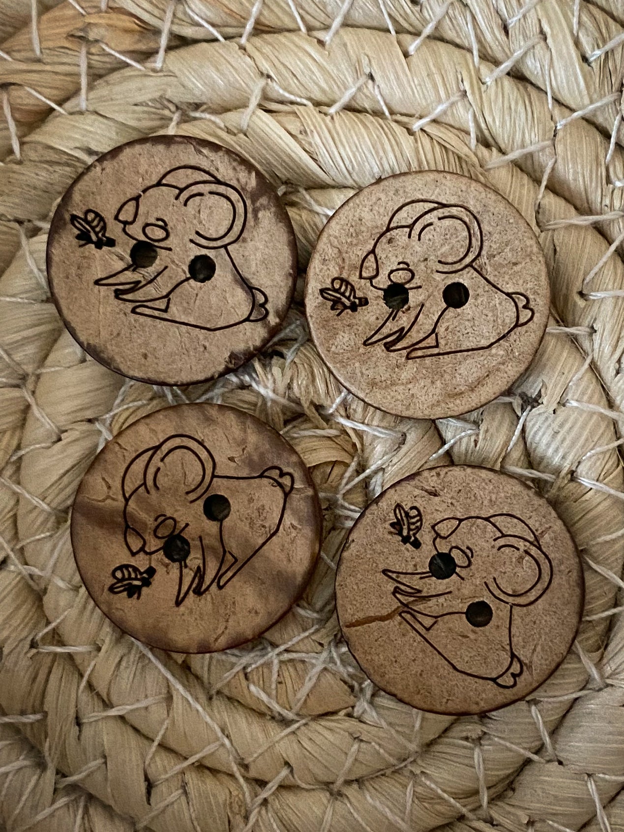 Knopf Koala Wilby
