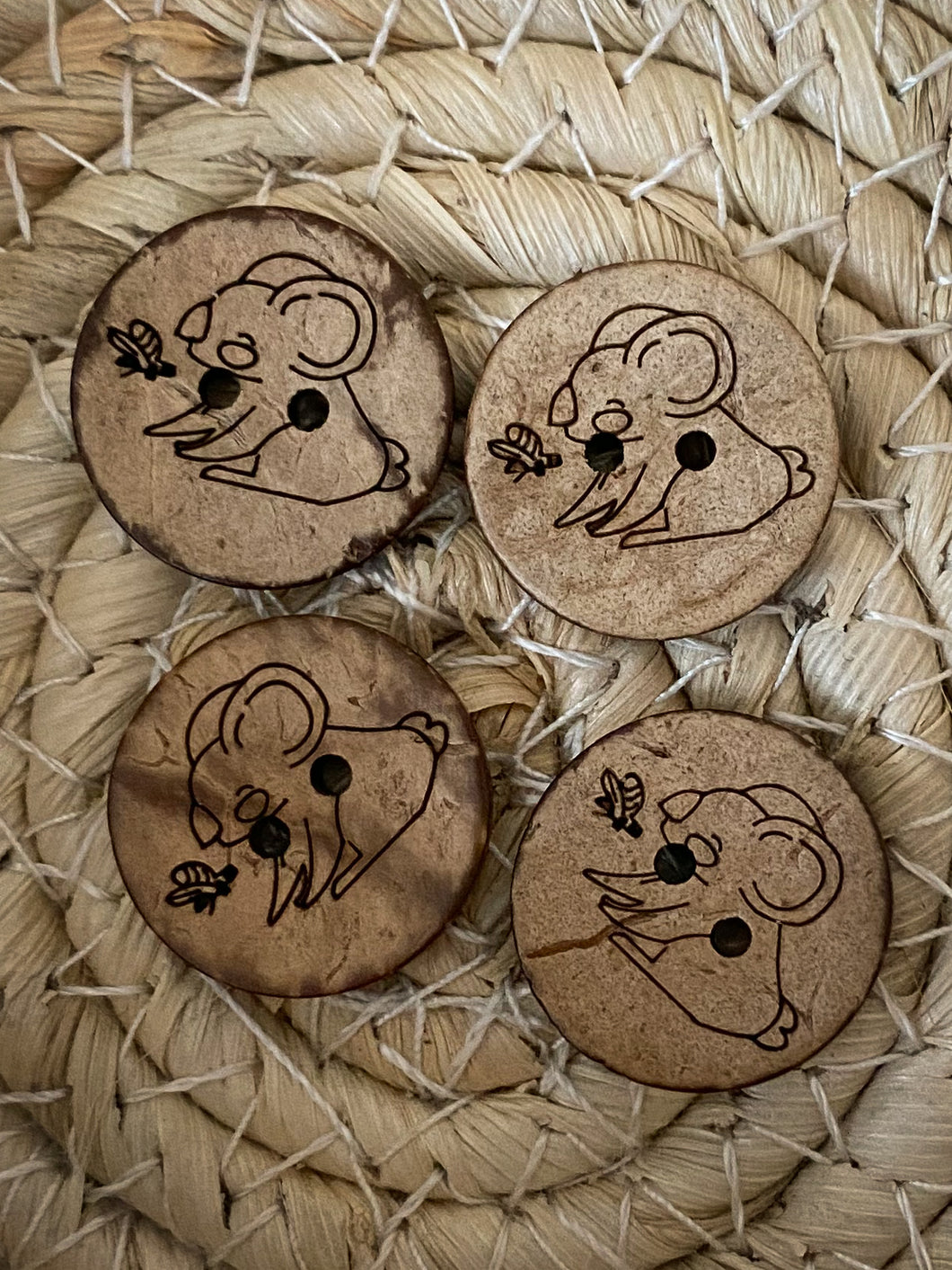 Knopf Koala Wilby