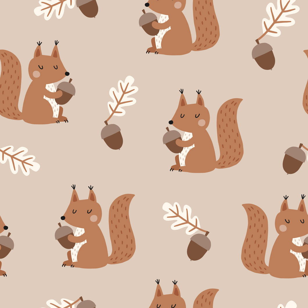 Eichhörnchen Jersey